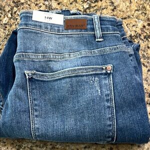 Judy Blue Straight Leg Blue Jeans Premium Fit